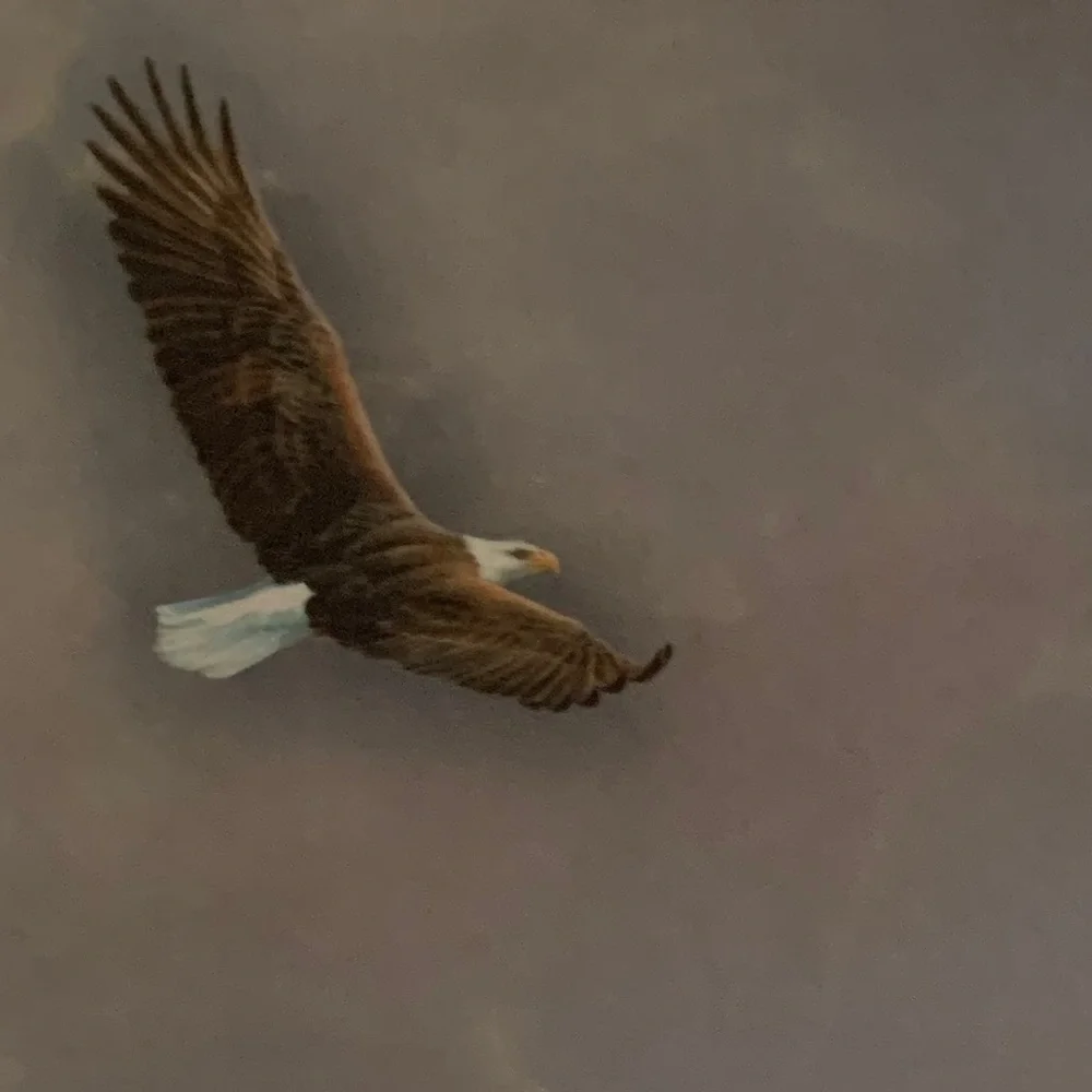 Leanin’Tree Congratulations On Your Graduation Greeting Card Soaring Eagle